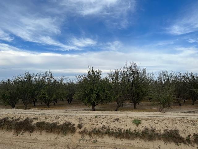 1105 E Rose Ave, Fresno, CA 93725