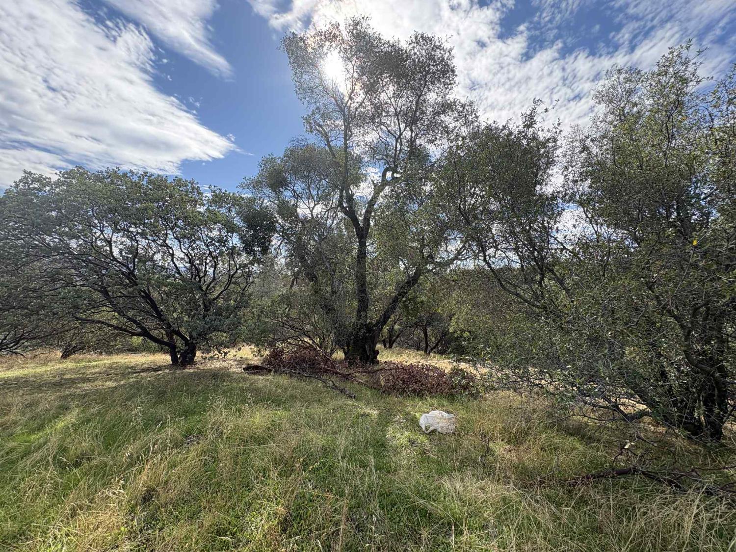 38699 Road 600, Raymond, CA 93653