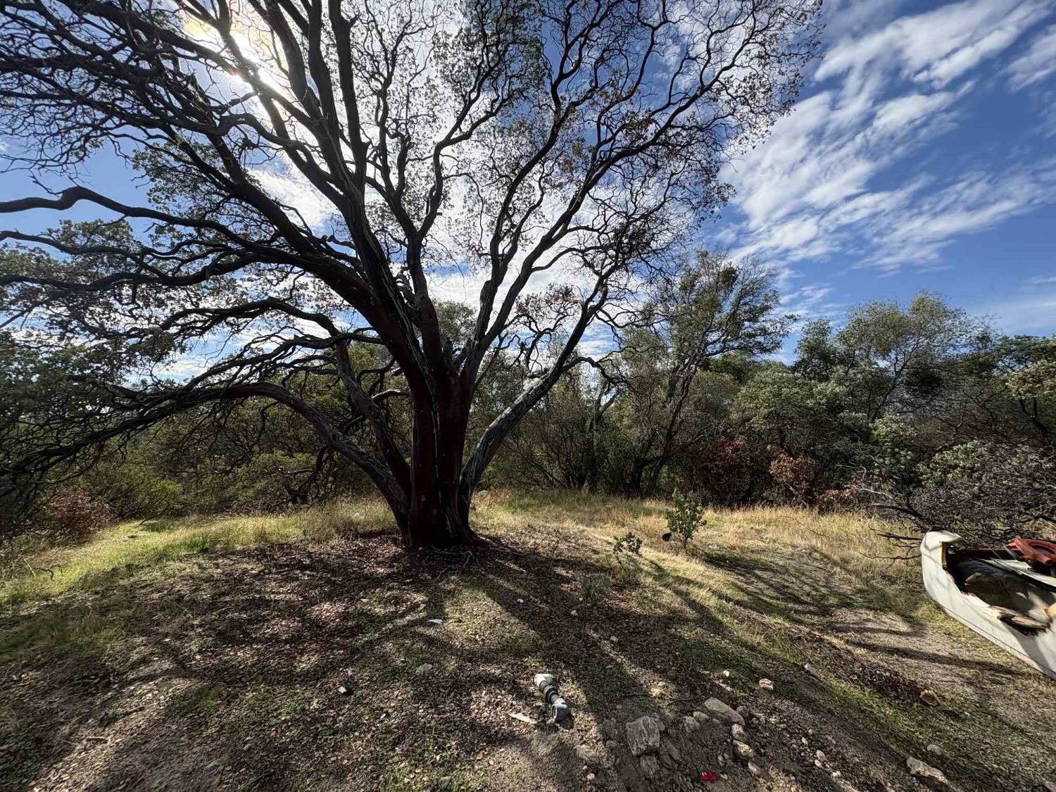 38699 Road 600, Raymond, CA 93653