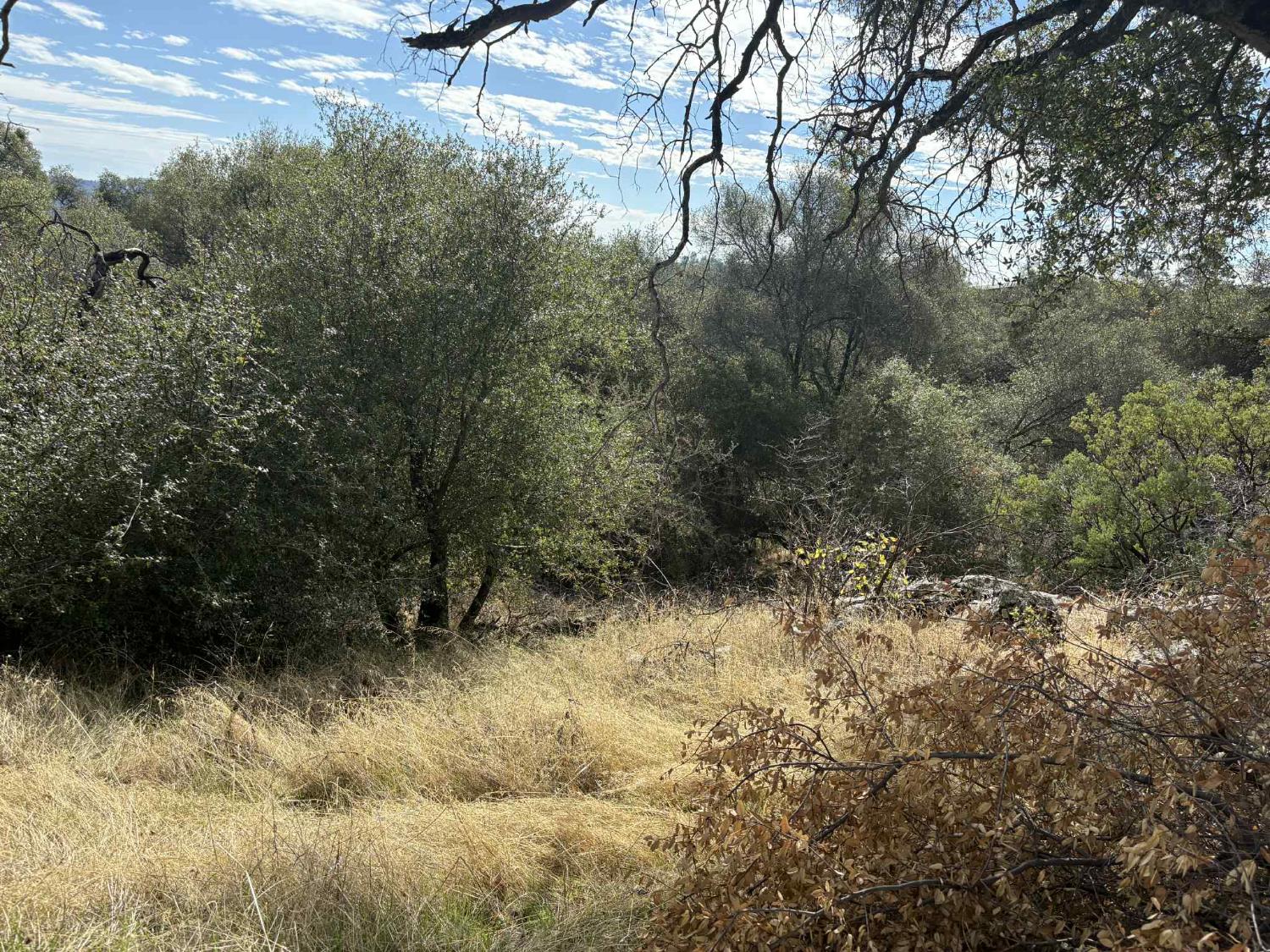 38699 Road 600, Raymond, CA 93653