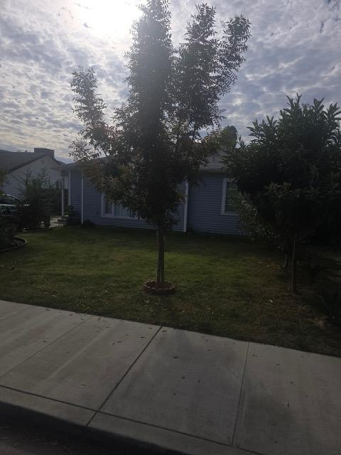 165 E LINDEN, Reedley, CA 93654
