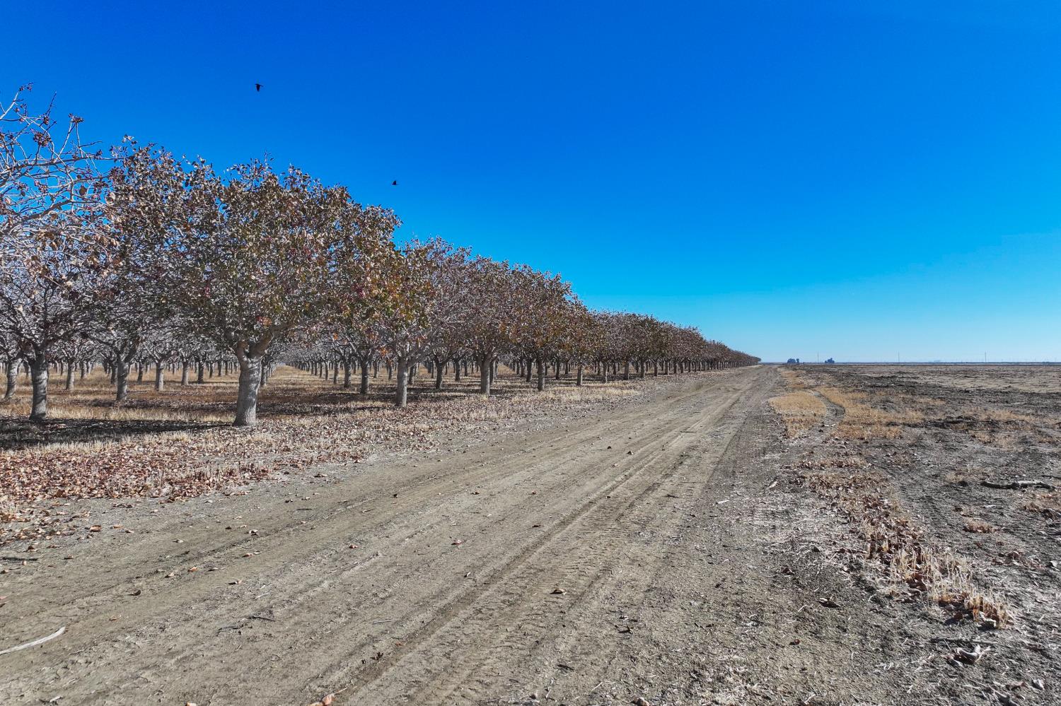 33751 W Adams Ave, Mendota, CA 93640