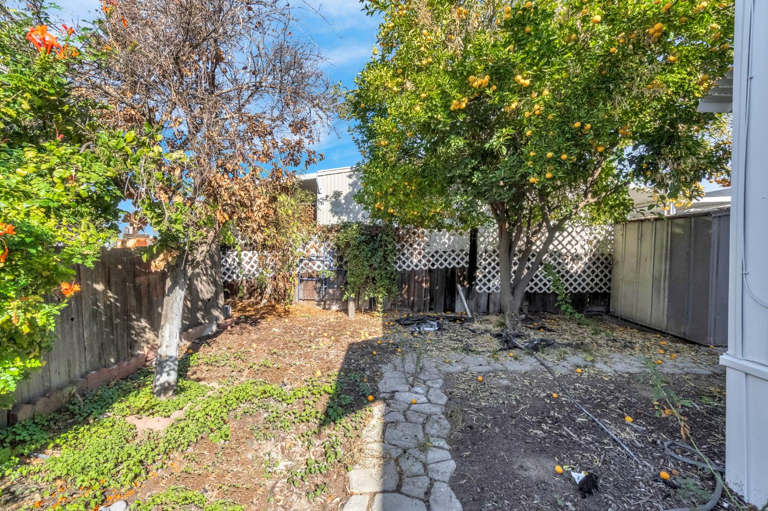 1218 E Cleveland Ave #153, Madera, CA 93638