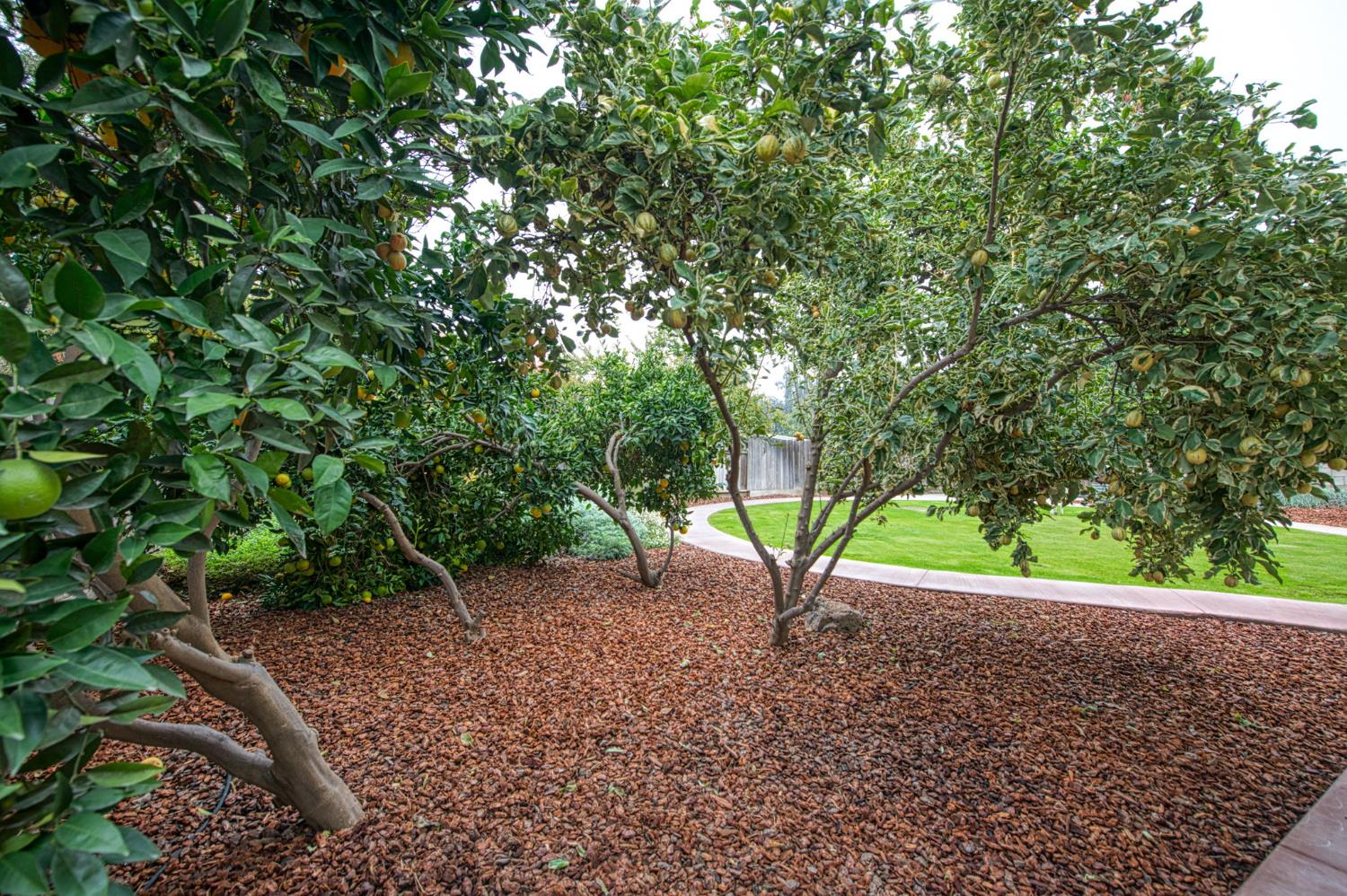 3338 E Menlo Ave, Fresno, CA 93710