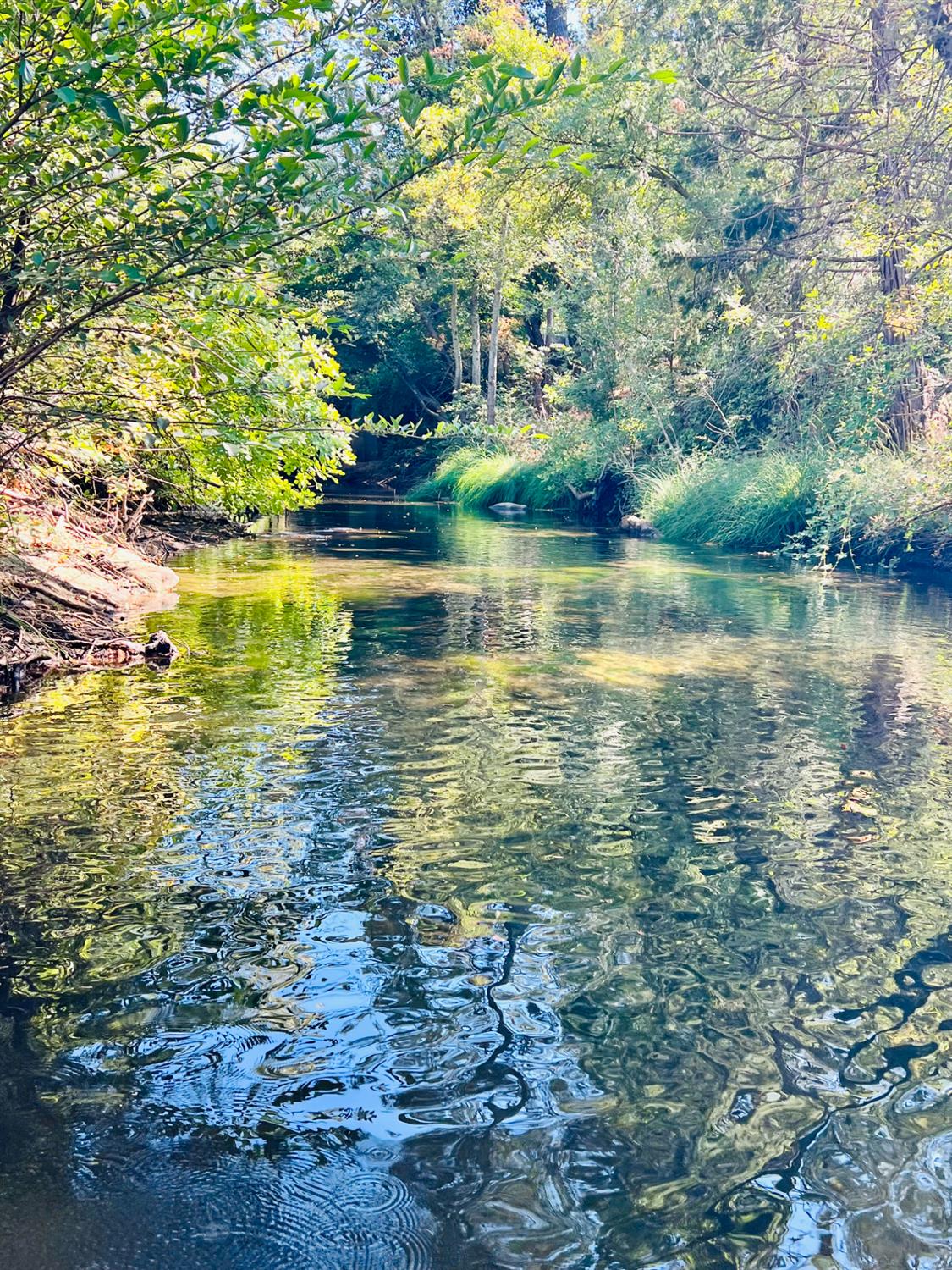 57665 Road 225, North Fork, CA 93643