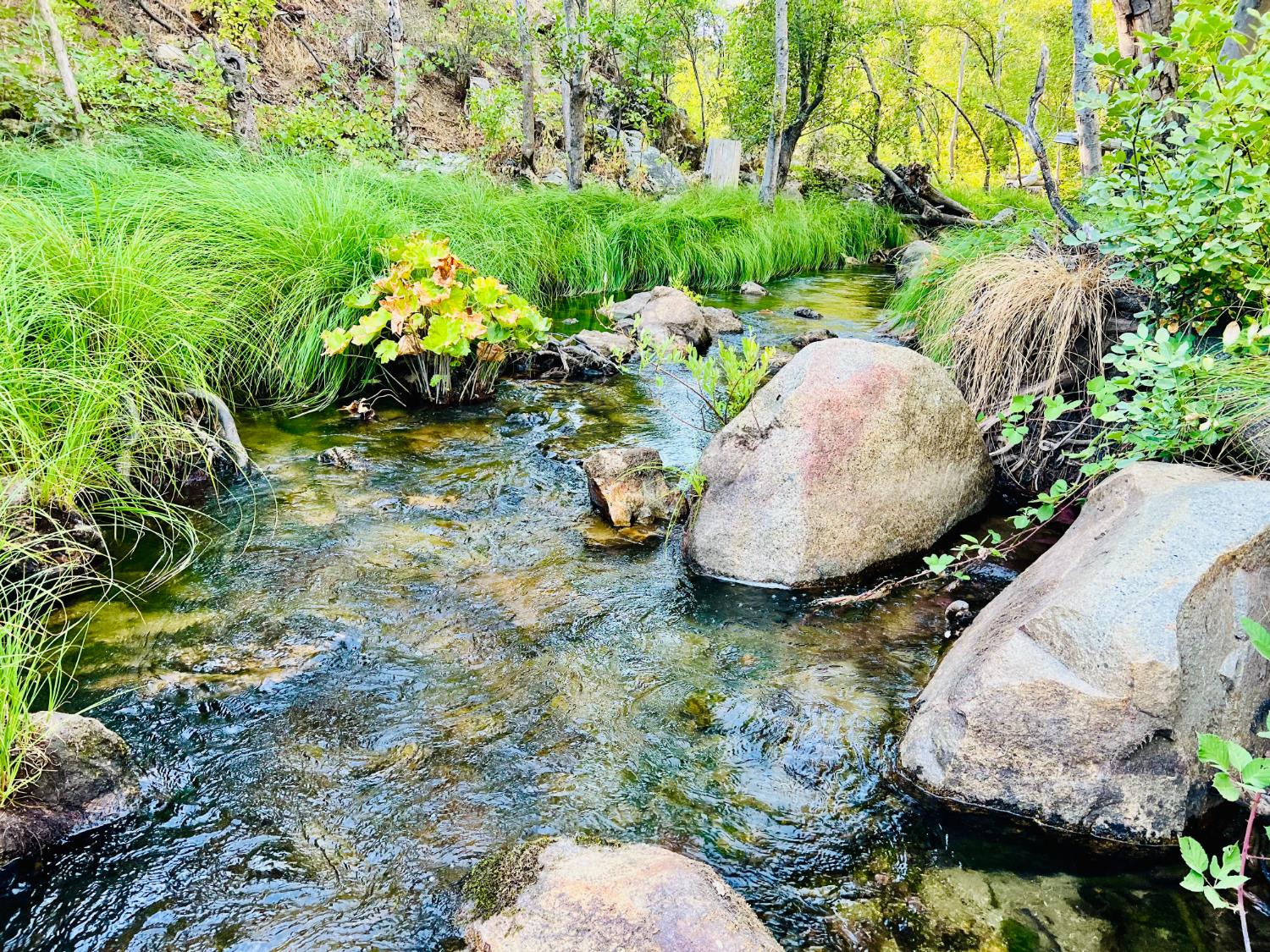 57665 Road 225, North Fork, CA 93643