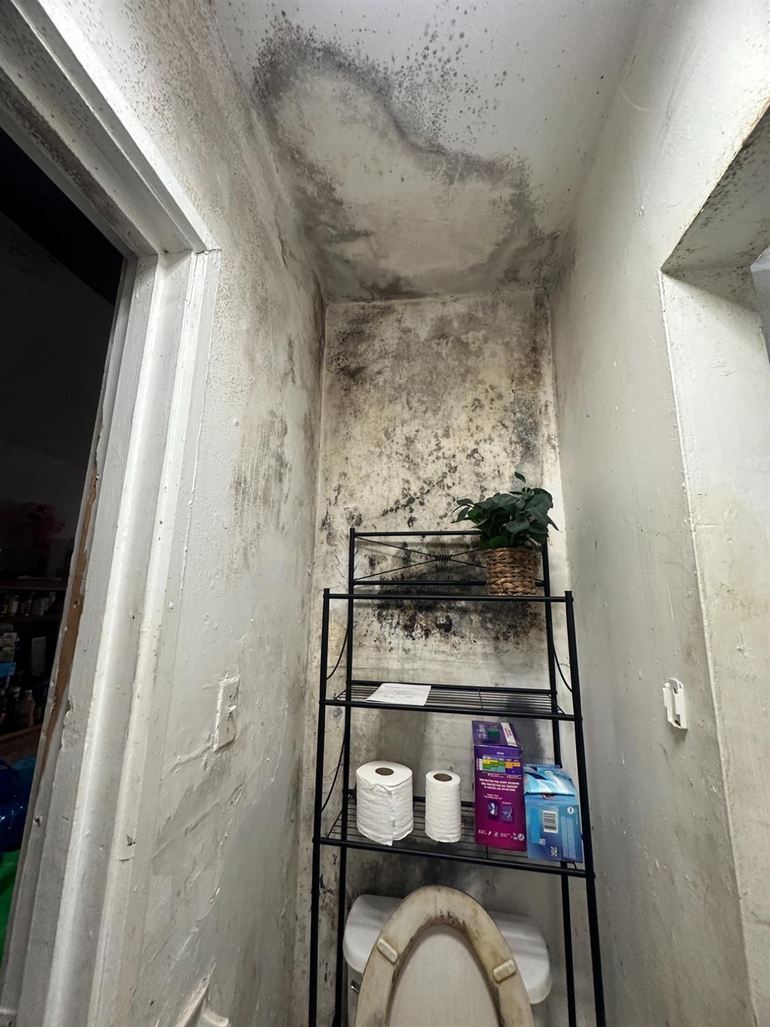 901 Mariposa, Kingsburg, CA 93631