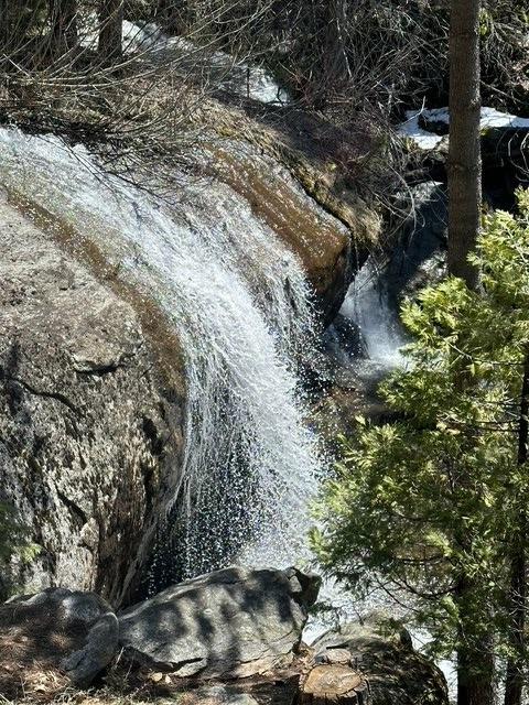 39553 Crest Point Ln, Shaver Lake, CA 93664