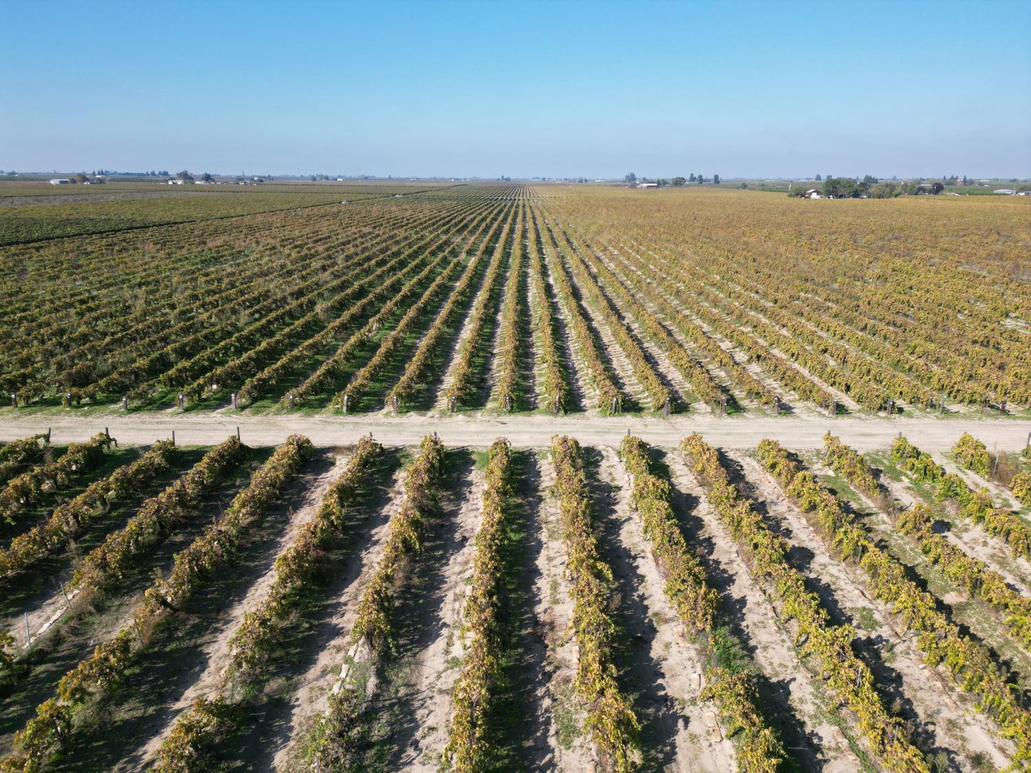 529 W. Floral Avenue, Fresno, CA 93707