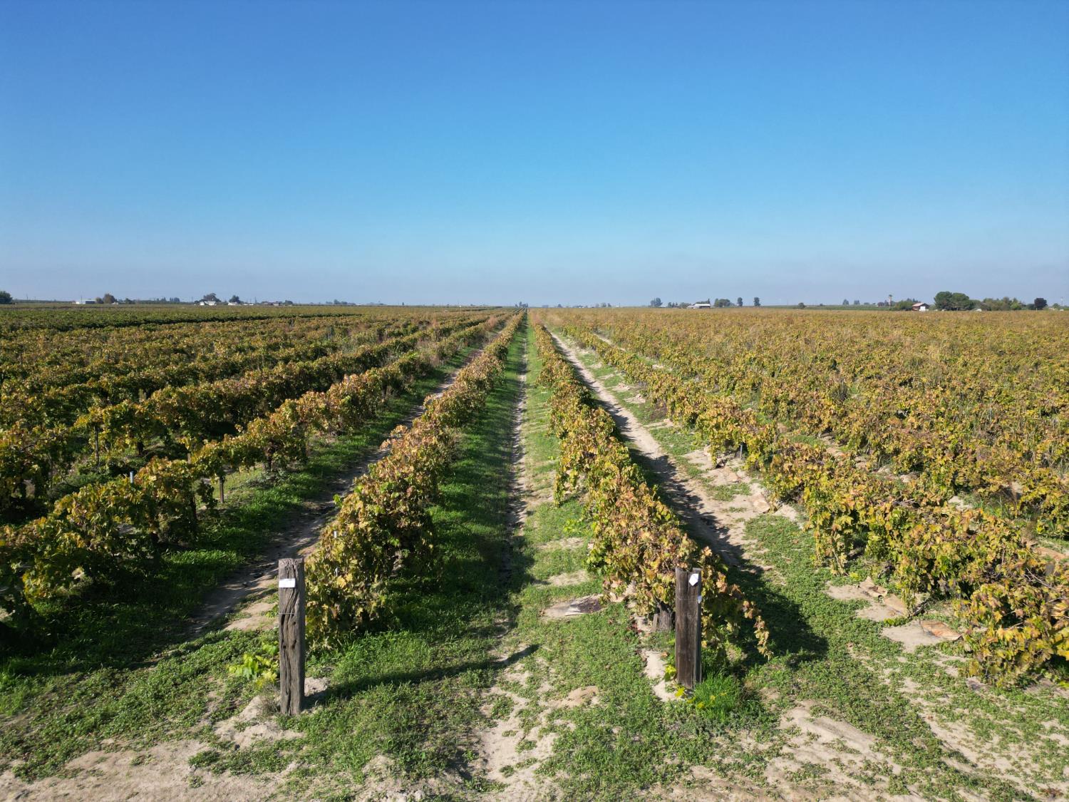 529 W. Floral Avenue, Fresno, CA 93707