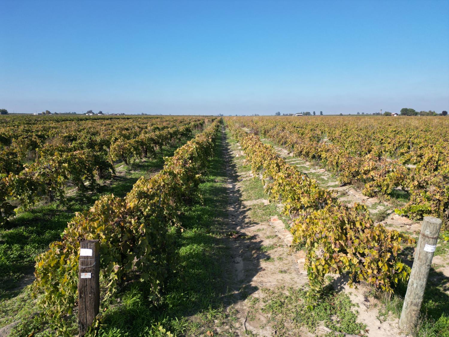 529 W. Floral Avenue, Fresno, CA 93707