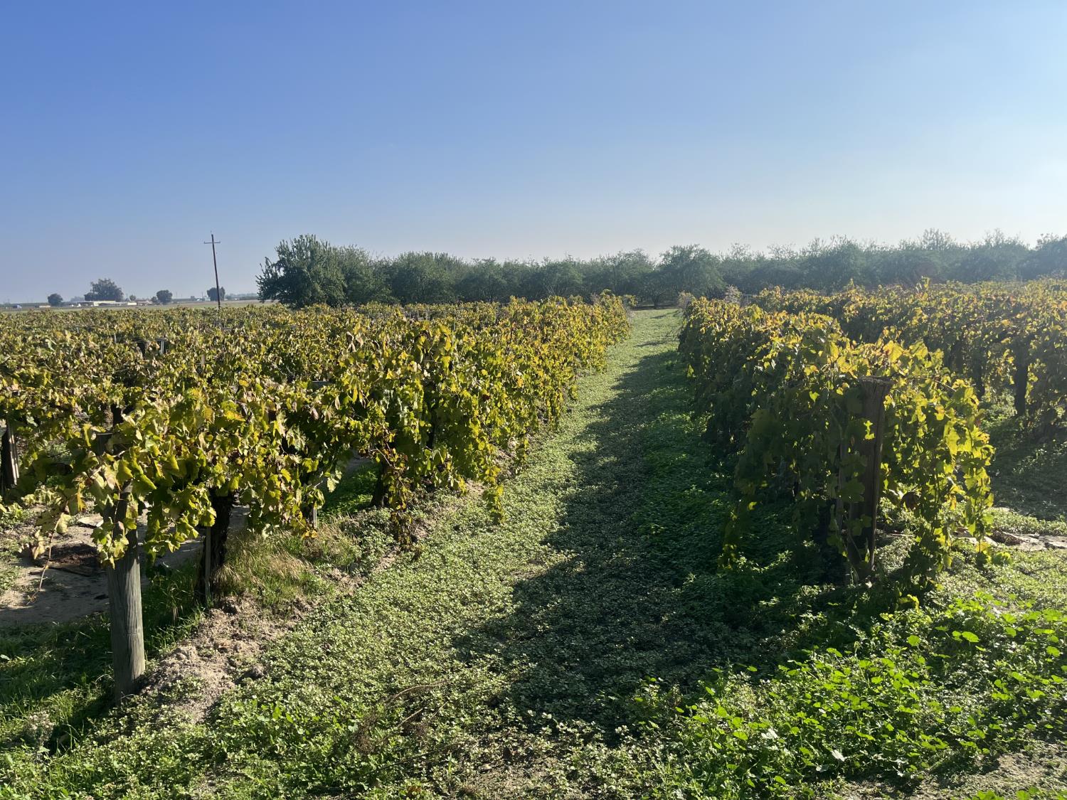 529 W. Floral Avenue, Fresno, CA 93707