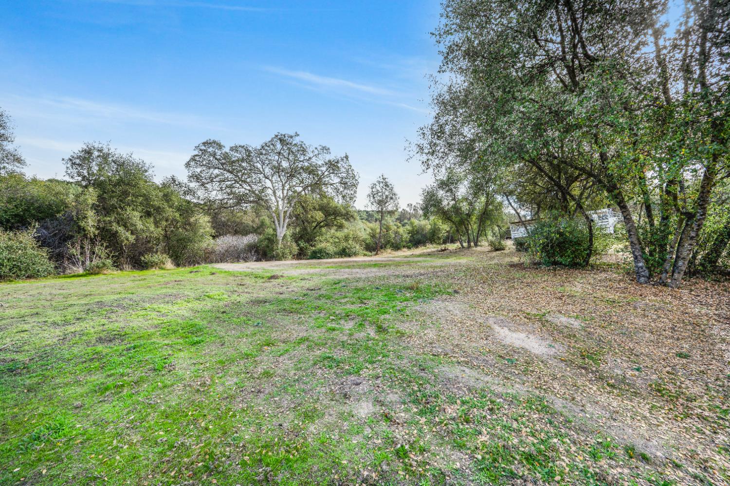31643 Buck Run Ln, Coarsegold, CA 93614