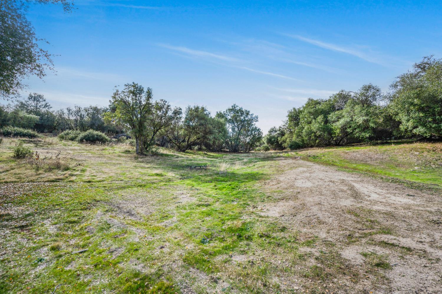 31643 Buck Run Ln, Coarsegold, CA 93614