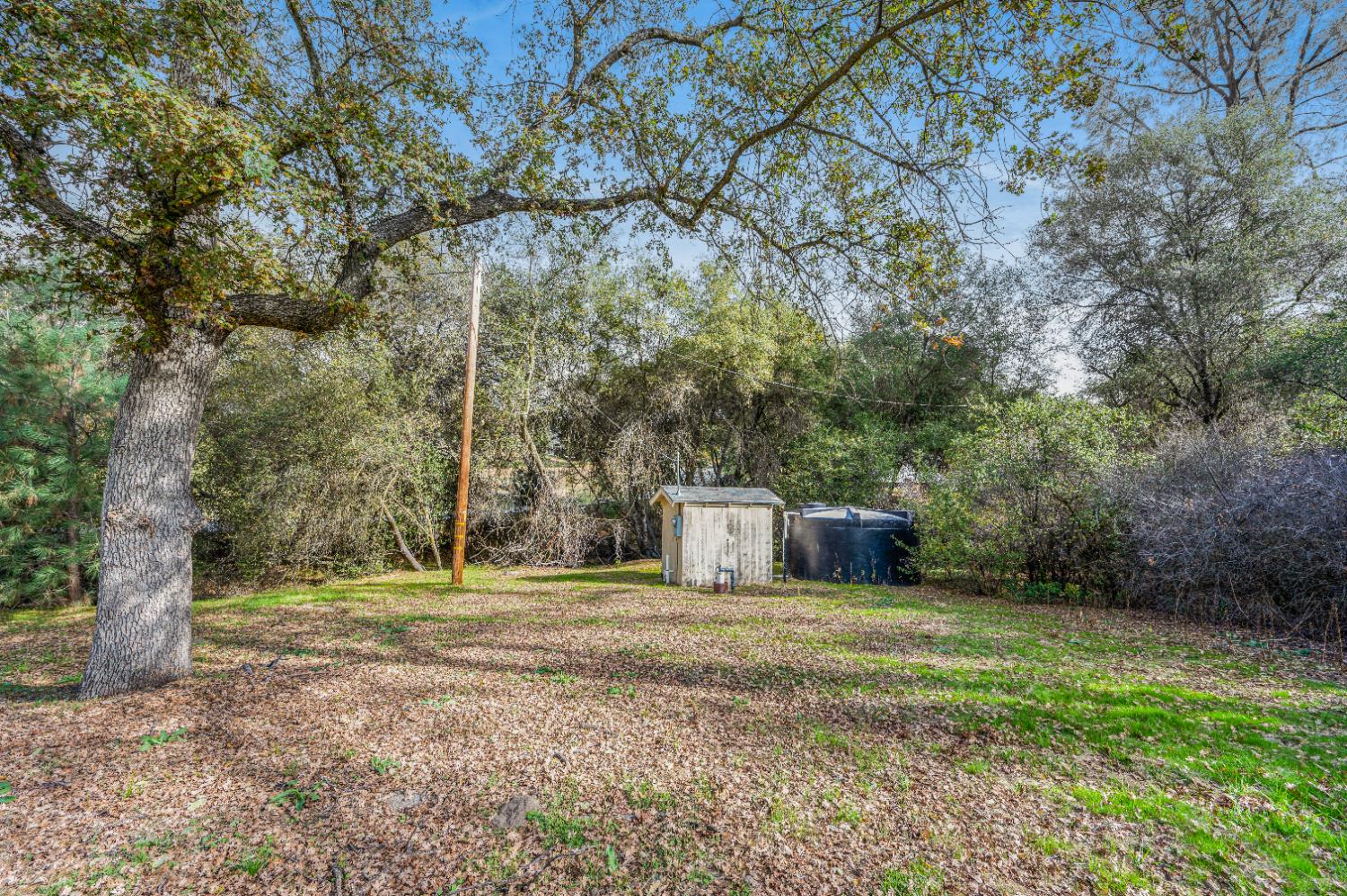 31643 Buck Run Ln, Coarsegold, CA 93614