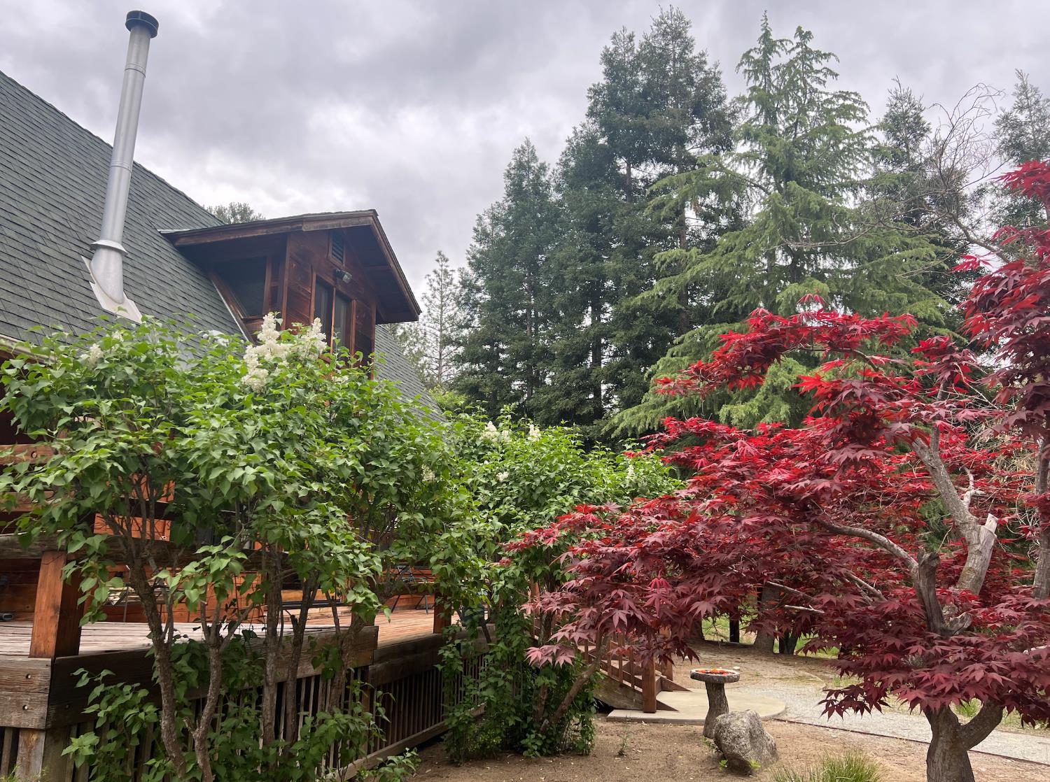 34405 Wild Rose Ln, North Fork, CA 93643