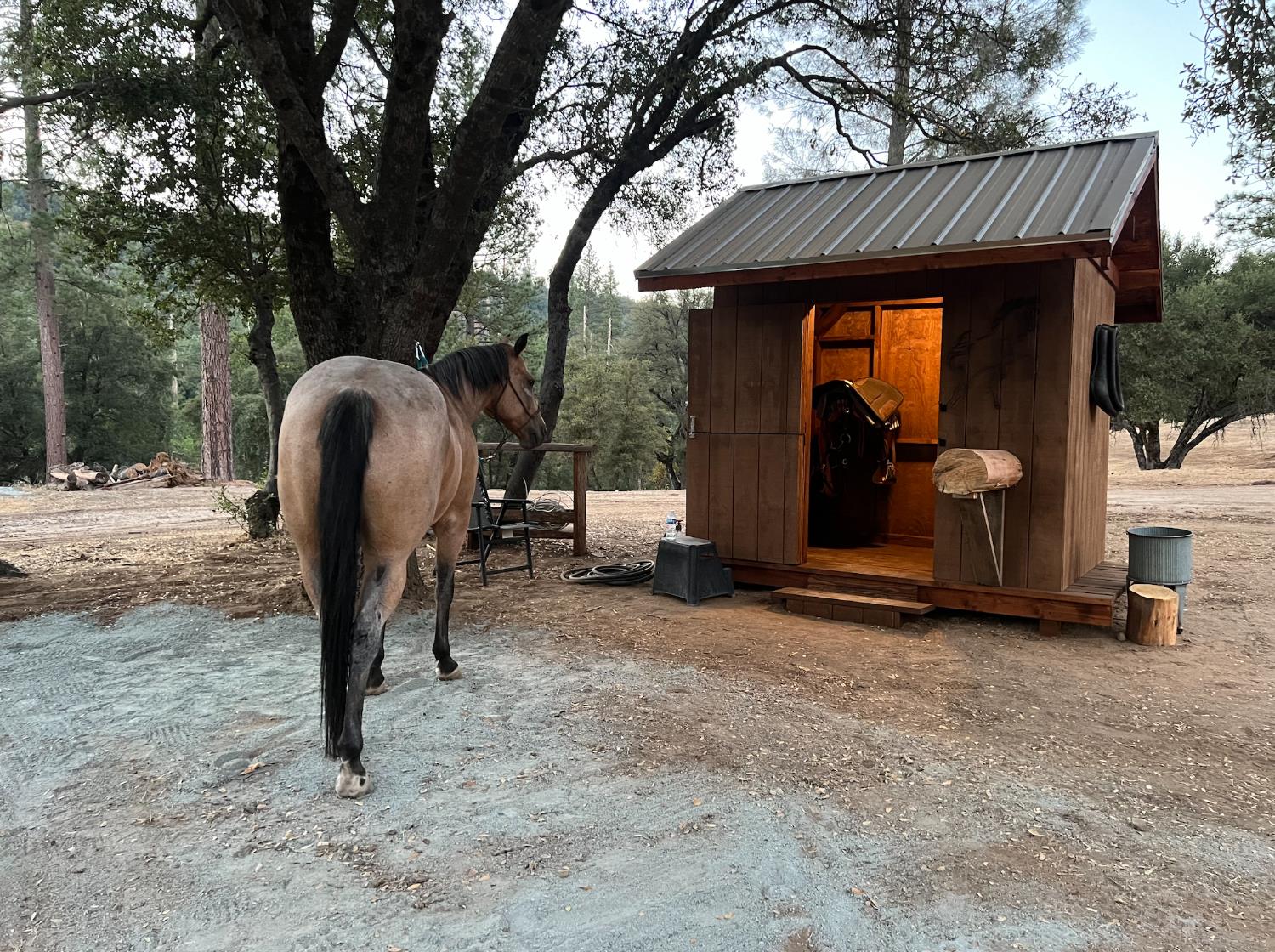 34405 Wild Rose Ln, North Fork, CA 93643