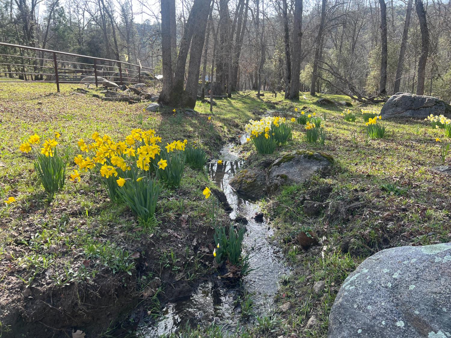 34405 Wild Rose Ln, North Fork, CA 93643