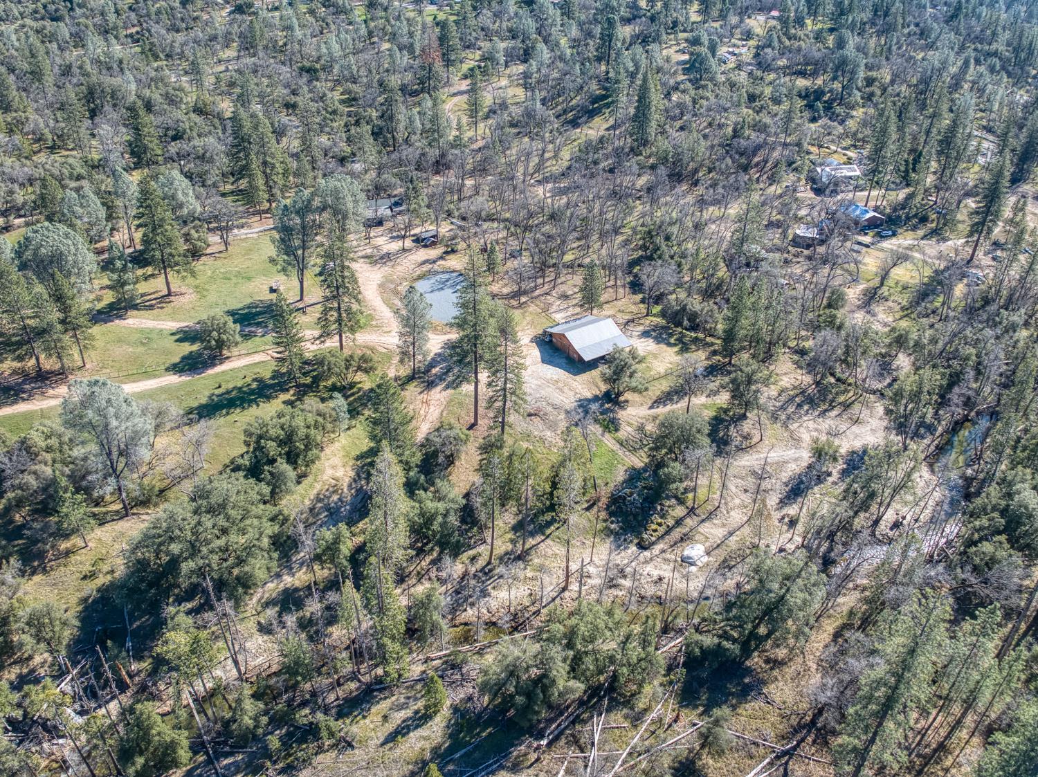 34405 Wild Rose Ln, North Fork, CA 93643