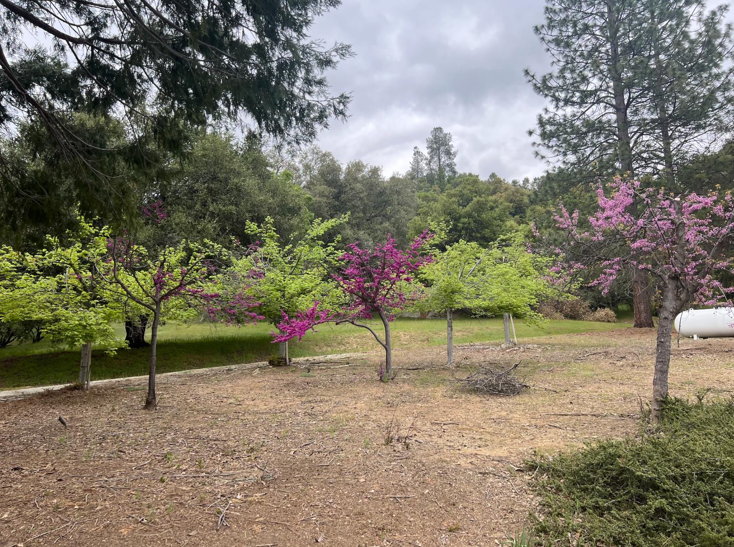 34405 Wild Rose Ln, North Fork, CA 93643