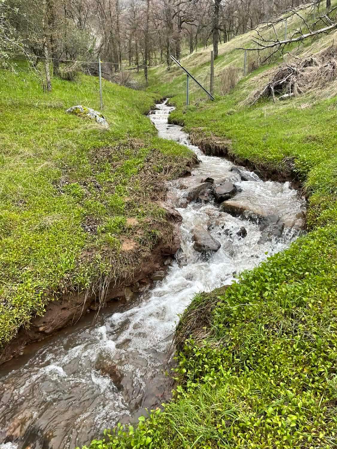 29668 Seminole Rd, Tollhouse, CA 93667