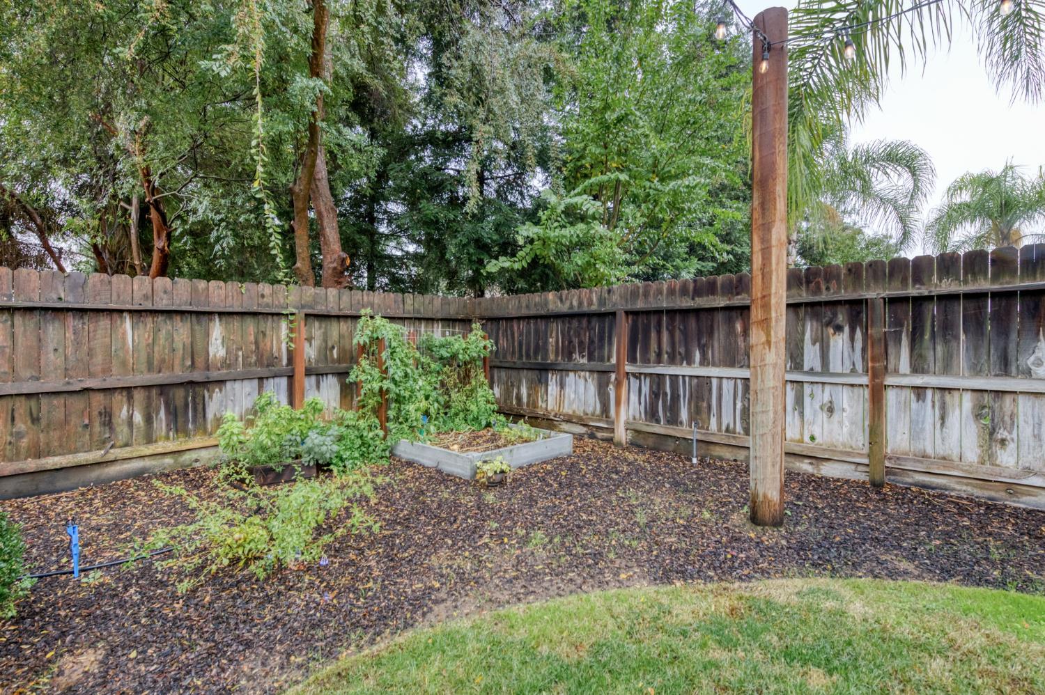 5945 N La Paz Ave, Fresno, CA 93723