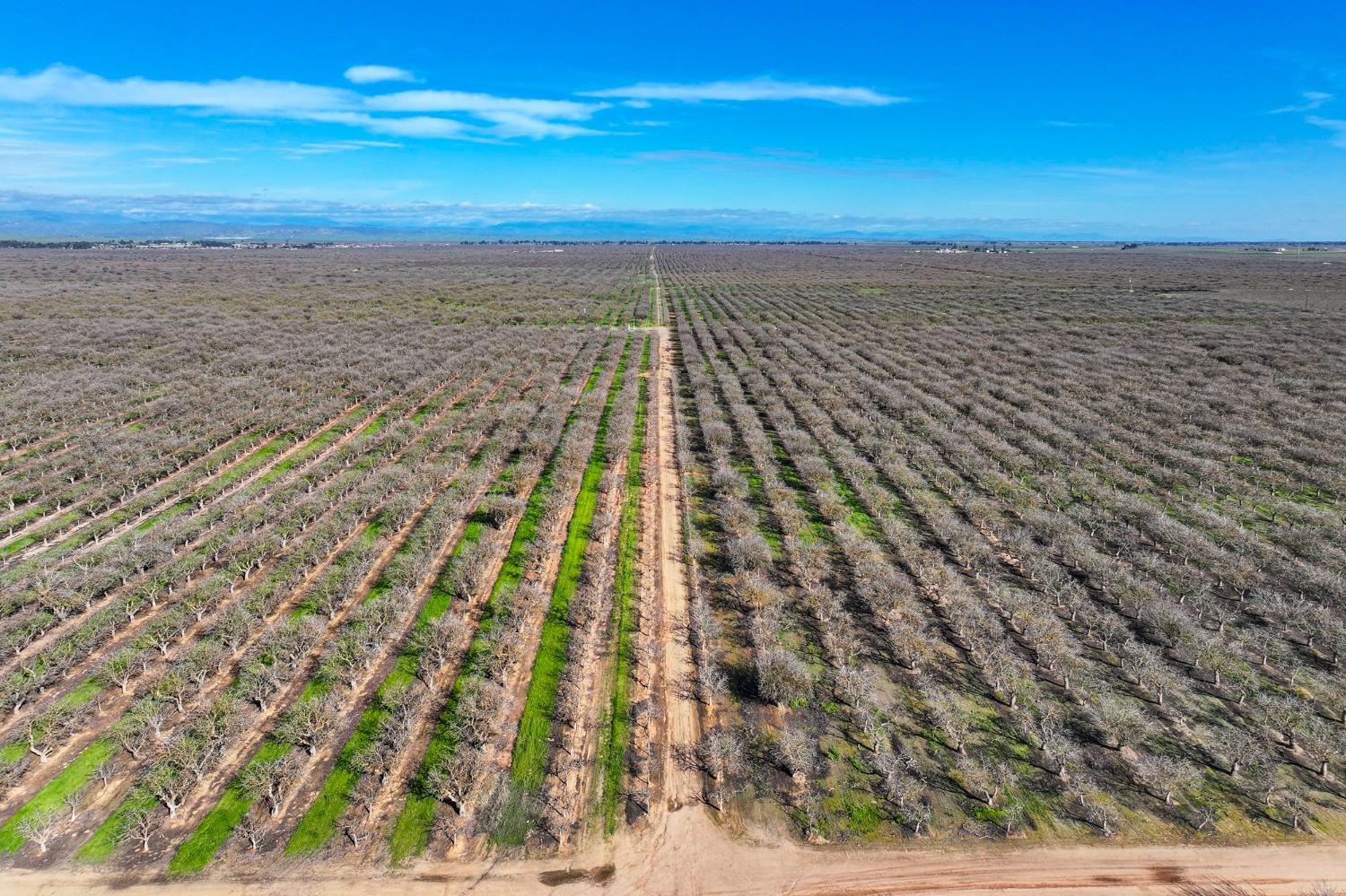 0 0 Avenue 20, Madera, CA 93638