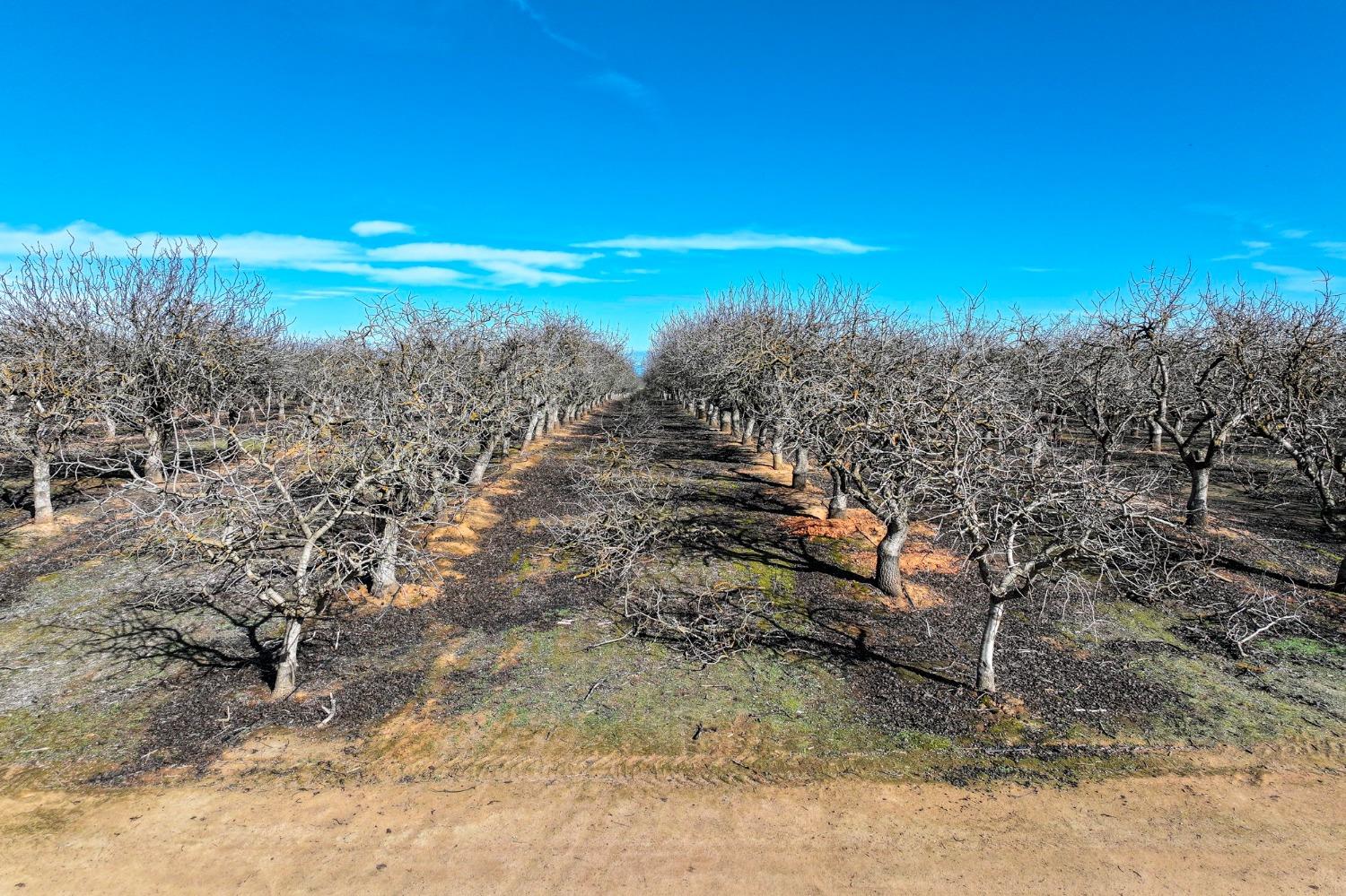 0 0 Avenue 20, Madera, CA 93638