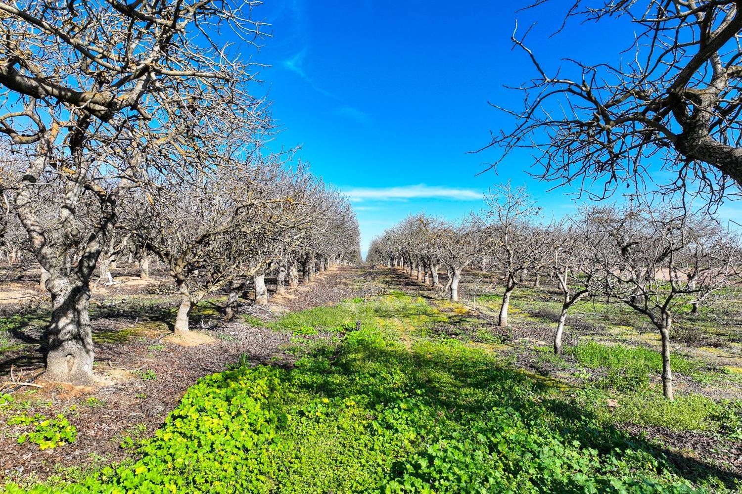 0 0 Avenue 20, Madera, CA 93638