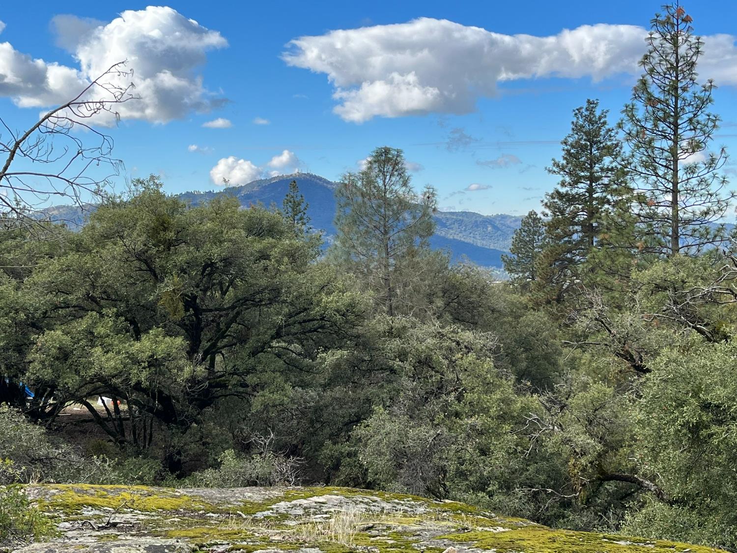 28 Acres Jean Rd E, Oakhurst, CA 93644