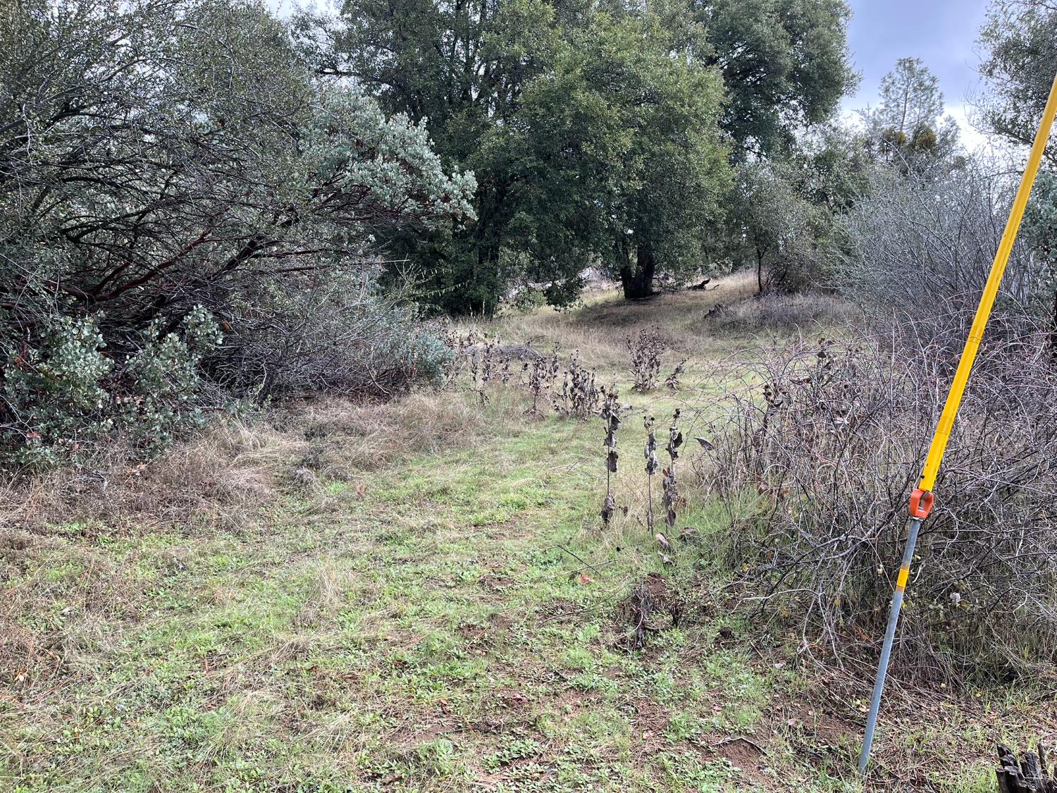 28 Acres Jean Rd E, Oakhurst, CA 93644