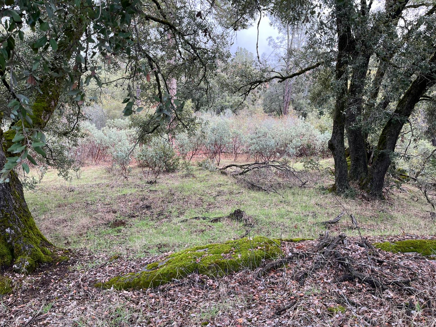 28 Acres Jean Rd E, Oakhurst, CA 93644
