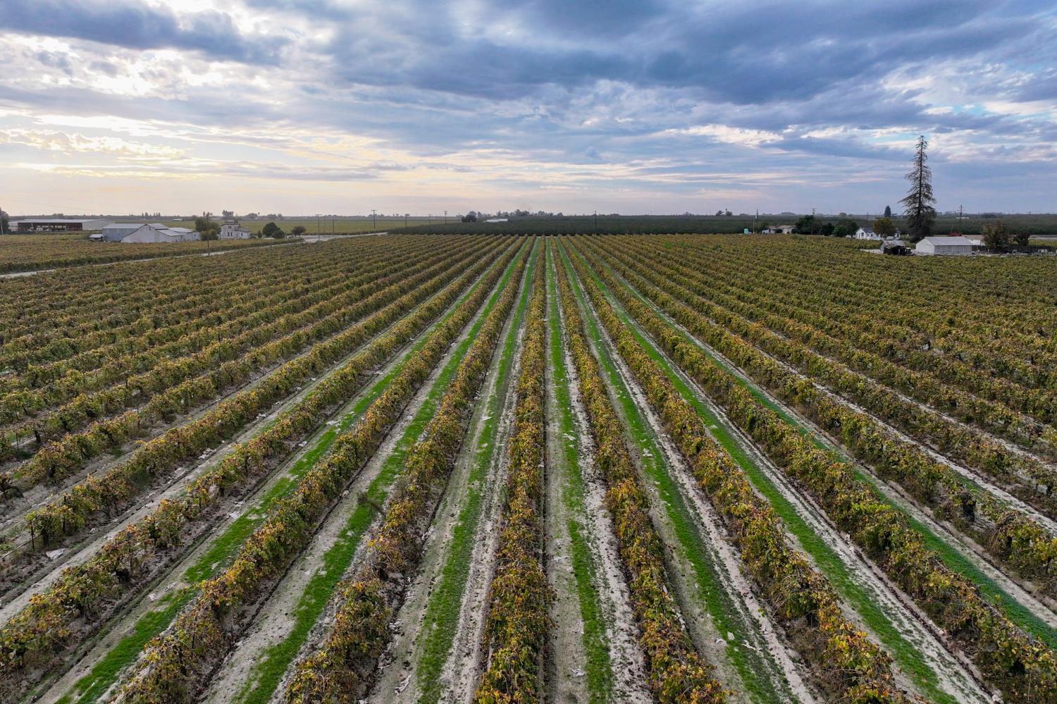 11836 S Hughes Ave, Caruthers, CA 93609