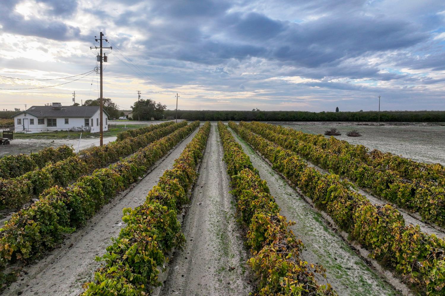 11836 S Hughes Ave, Caruthers, CA 93609