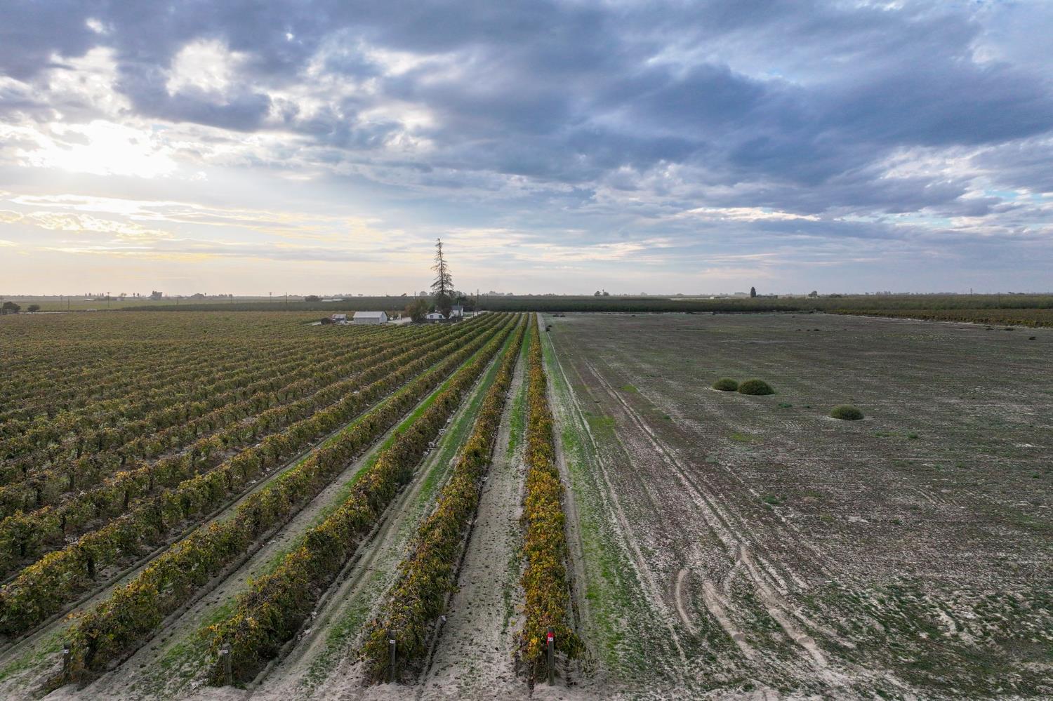 11836 S Hughes Ave, Caruthers, CA 93609