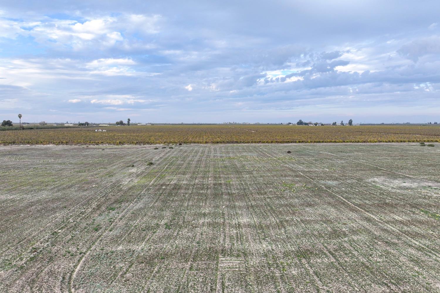 11836 S Hughes Ave, Caruthers, CA 93609