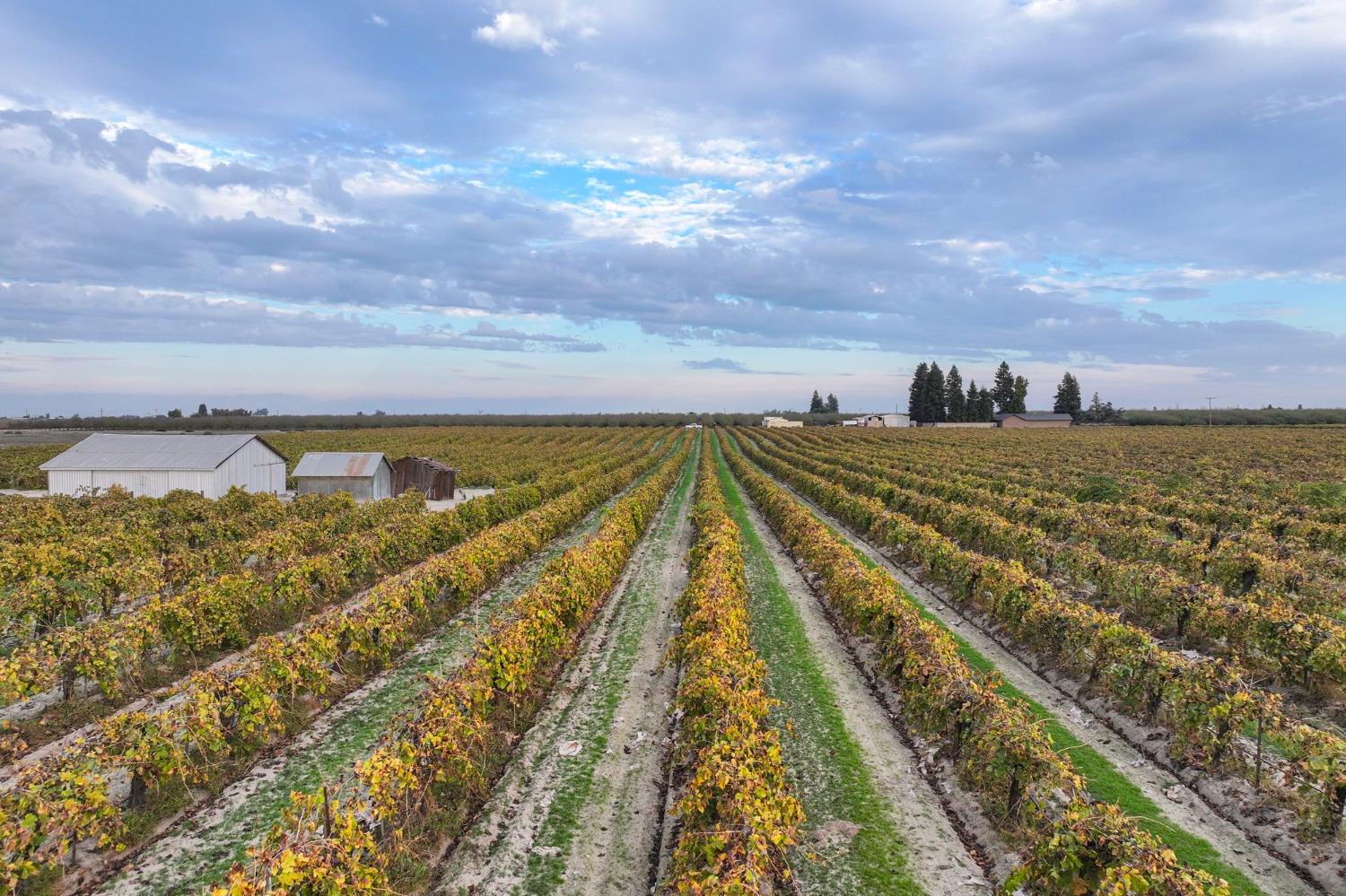 11836 S Hughes Ave, Caruthers, CA 93609