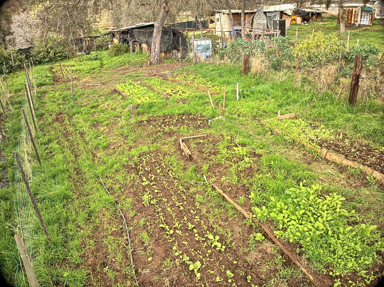 45682 Columbine Ln, Yokuts Valley, CA 93675