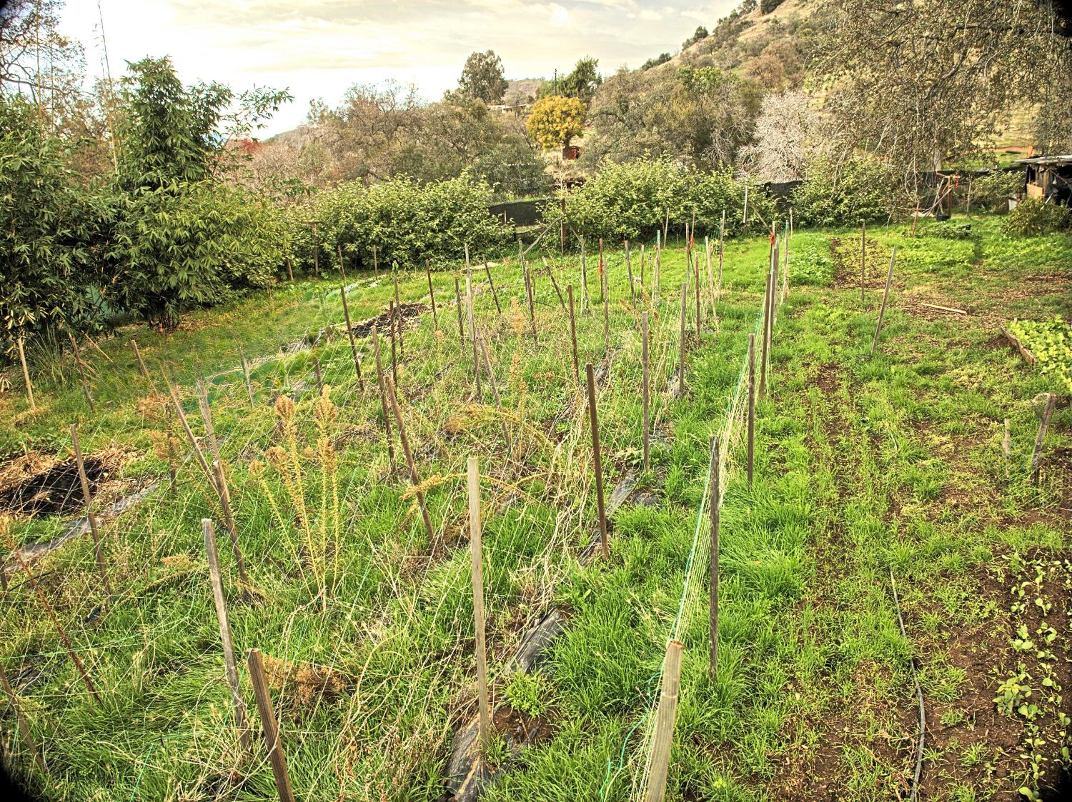 45682 Columbine Ln, Yokuts Valley, CA 93675