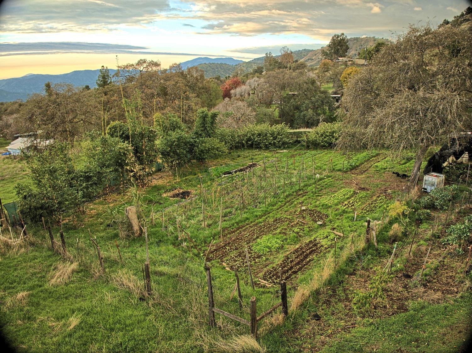 45682 Columbine Ln, Yokuts Valley, CA 93675