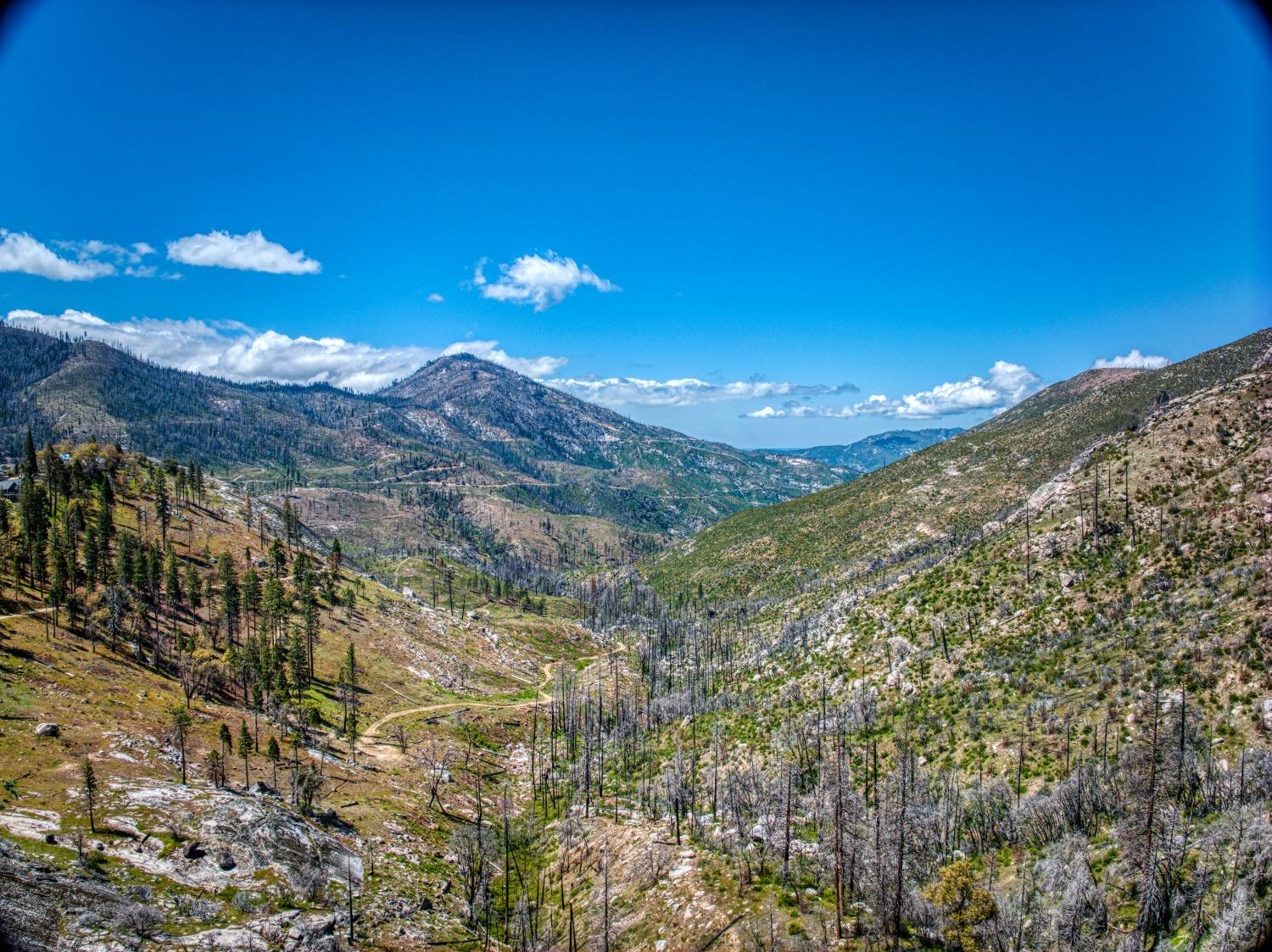 55277 Jungle Town Ln, Big Creek, CA 93605