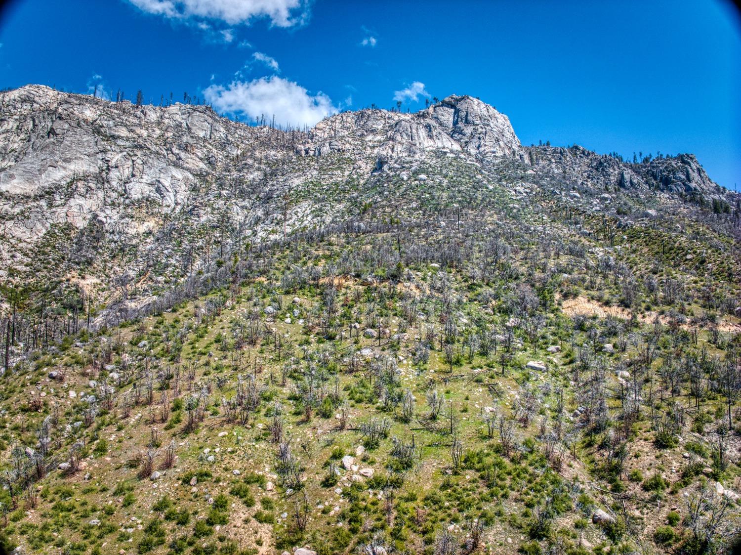 55277 Jungle Town Ln, Big Creek, CA 93605