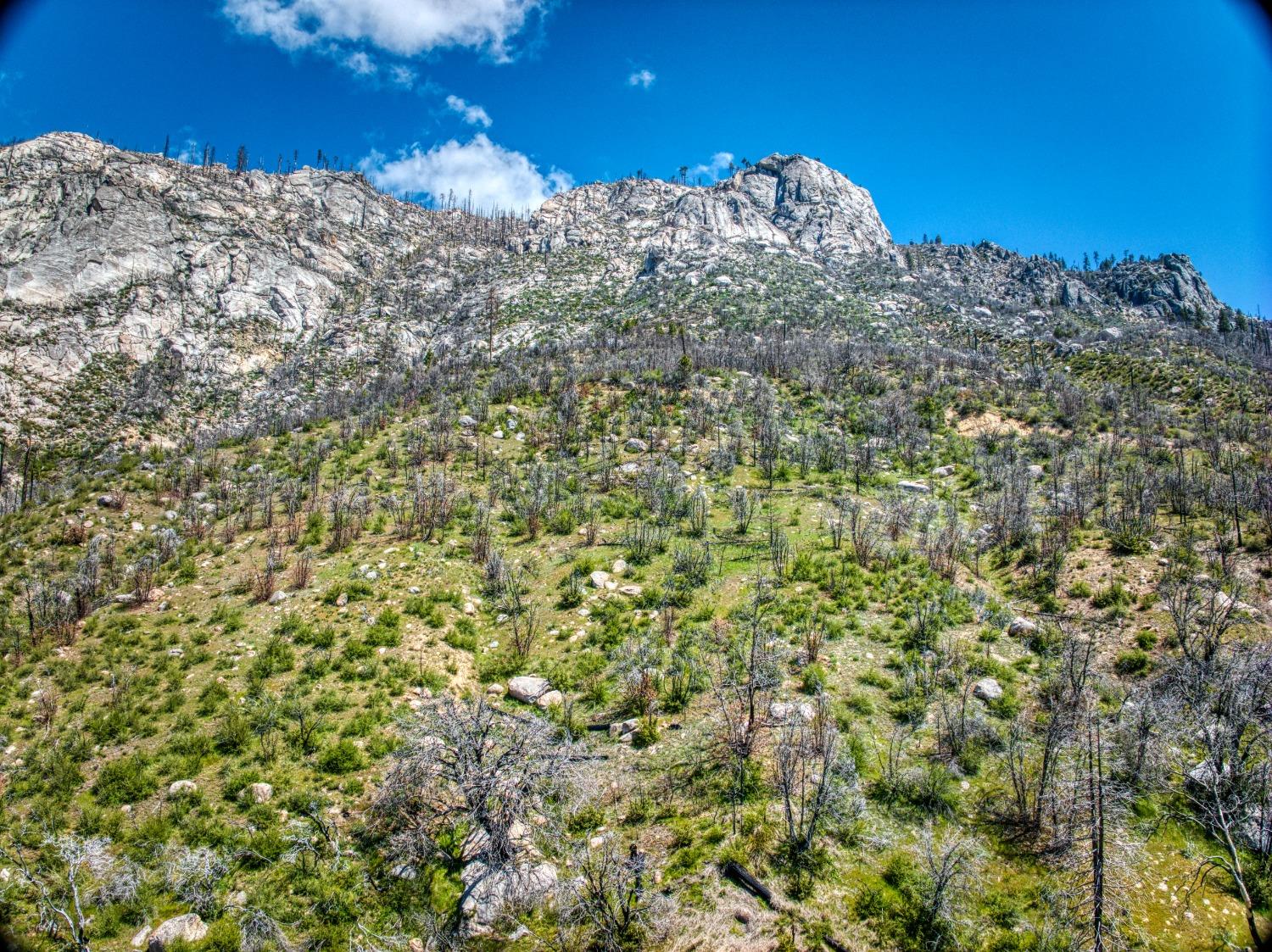 55277 Jungle Town Ln, Big Creek, CA 93605