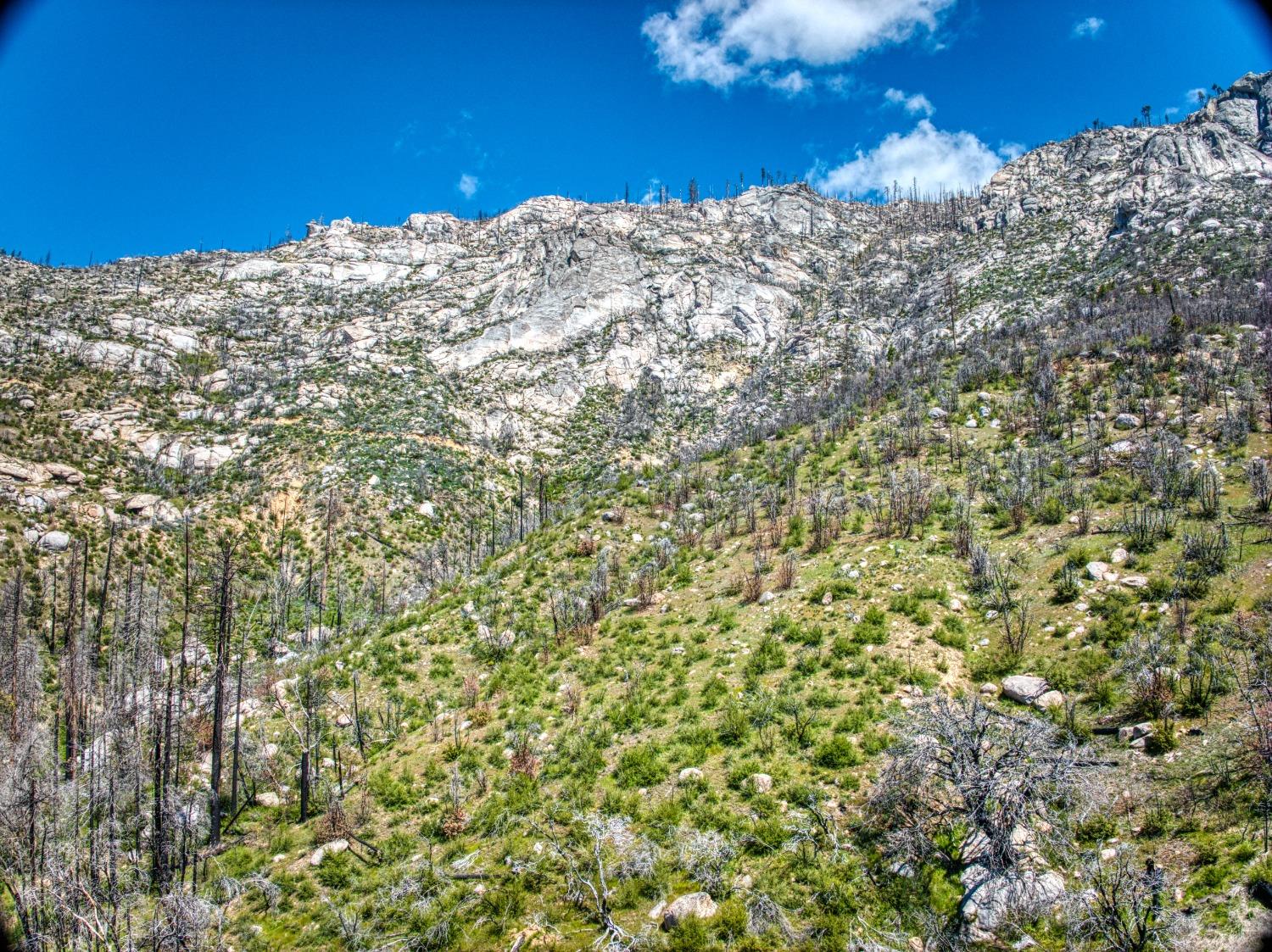 55277 Jungle Town Ln, Big Creek, CA 93605