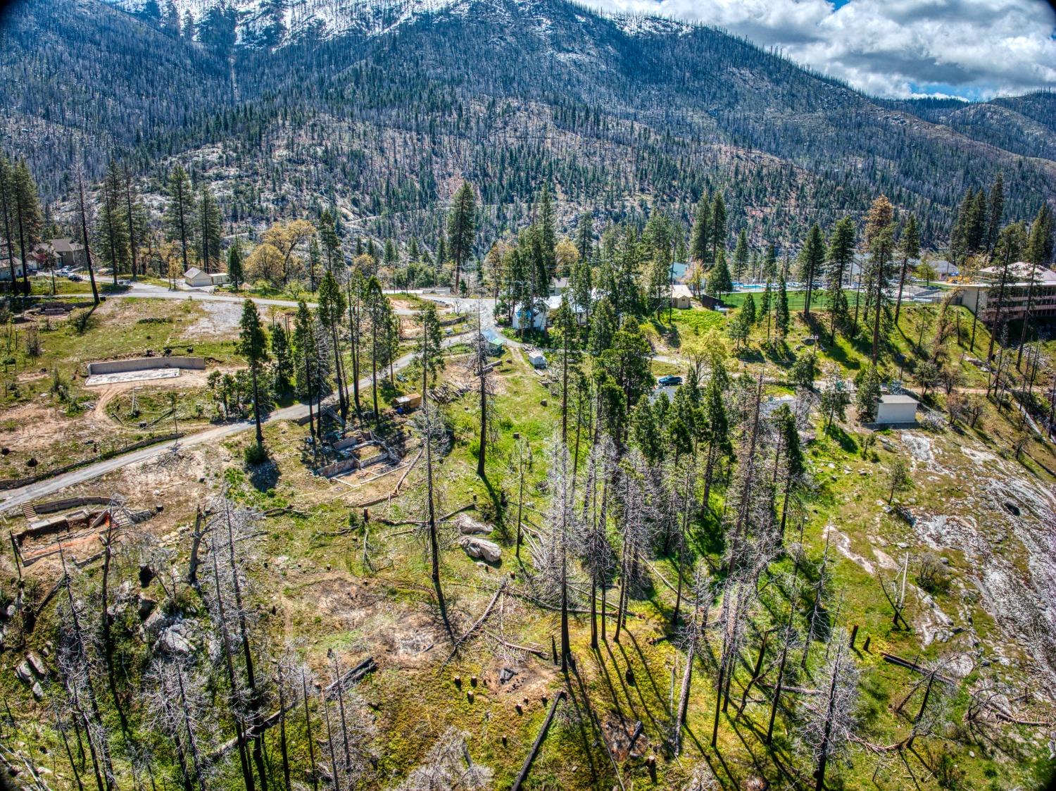 55277 Jungle Town Ln, Big Creek, CA 93605