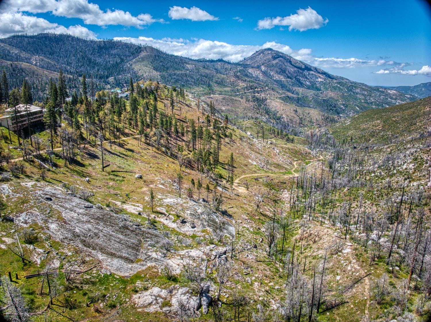 55277 Jungle Town Ln, Big Creek, CA 93605