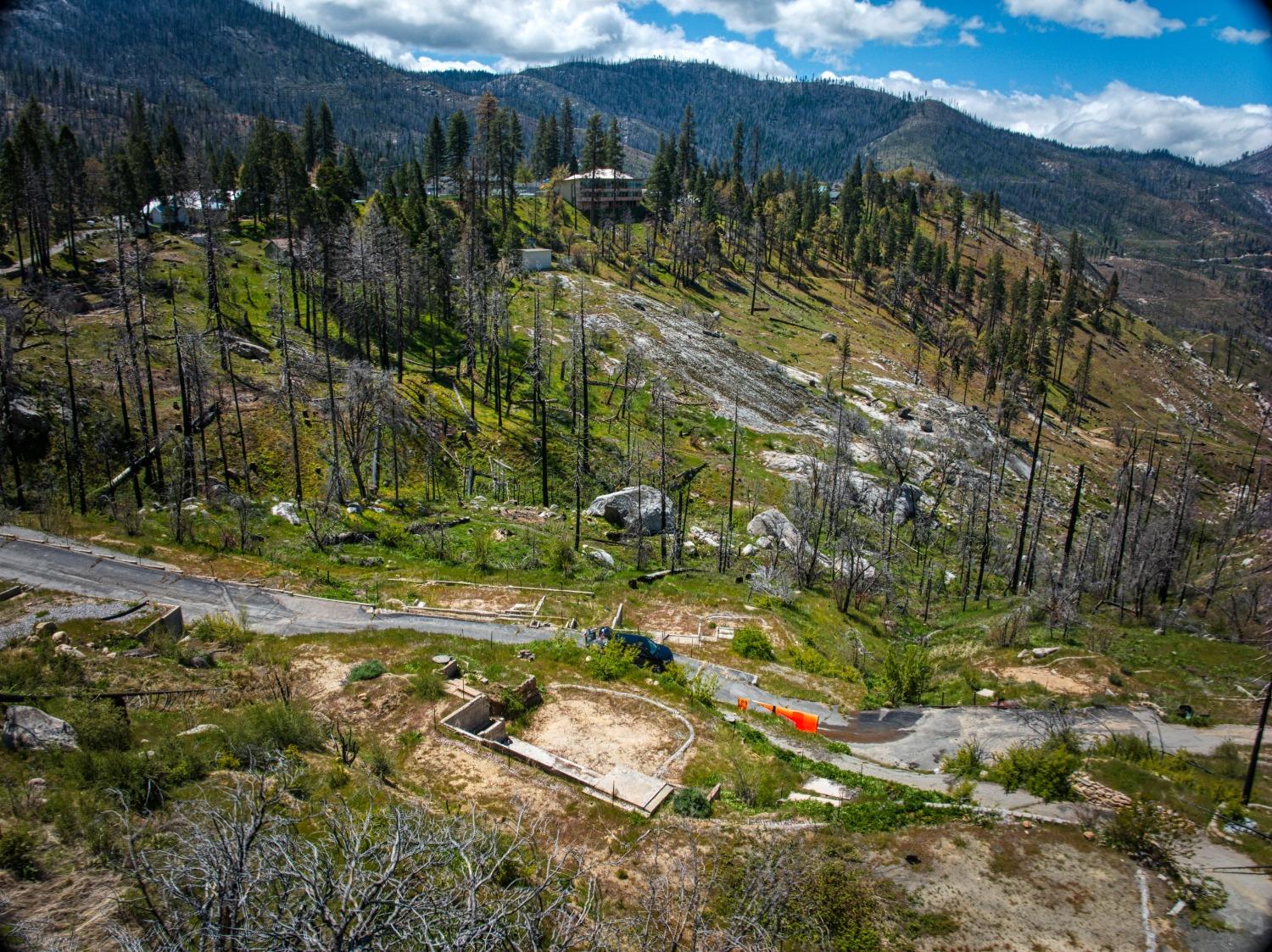 55277 Jungle Town Ln, Big Creek, CA 93605