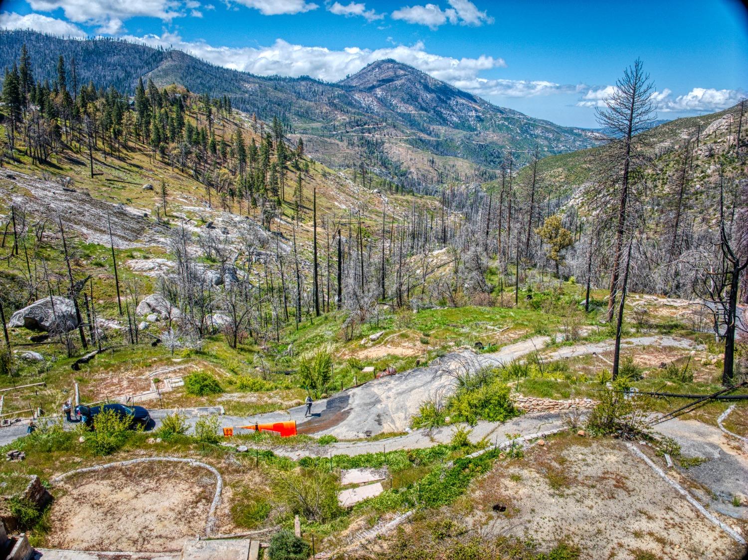 55277 Jungle Town Ln, Big Creek, CA 93605