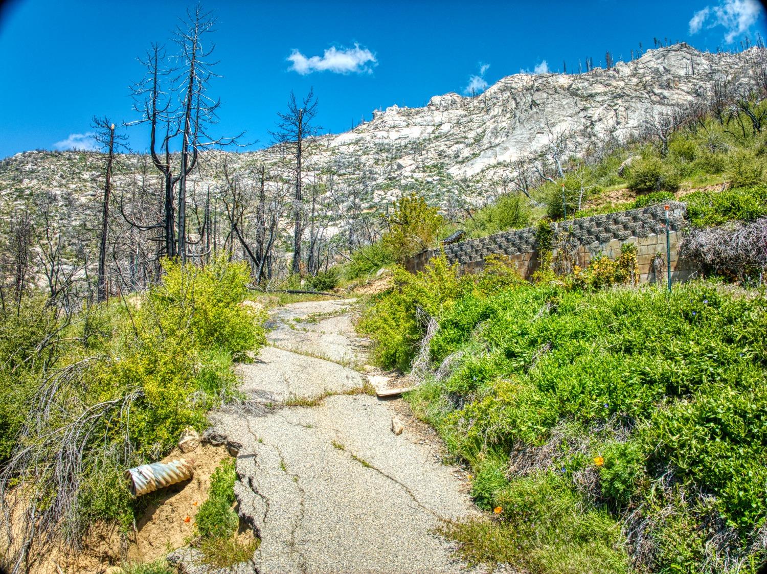 55277 Jungle Town Ln, Big Creek, CA 93605