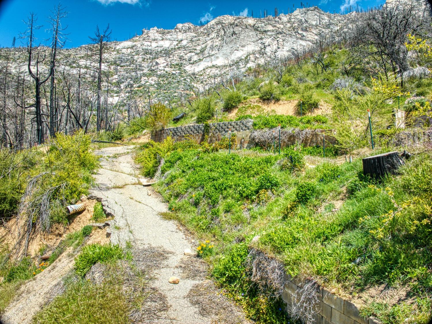 55277 Jungle Town Ln, Big Creek, CA 93605